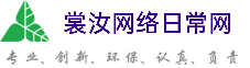 松江裳汝网络日常网